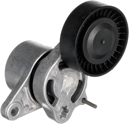 Belt Tensioner, V-ribbed belt (T39454)