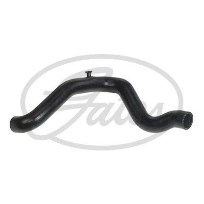 Radiator Hose (05-3142)