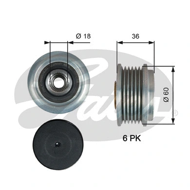 Alternator Freewheel Clutch (OAP7215)