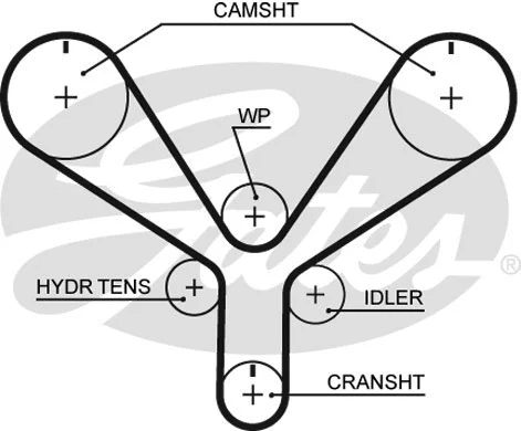 Timing Belt (T286)