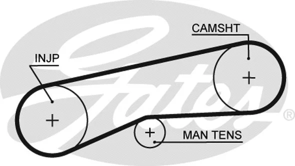 Timing Belt (5093)