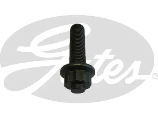 Bolt, crankshaft mounting bracket (Z80376)