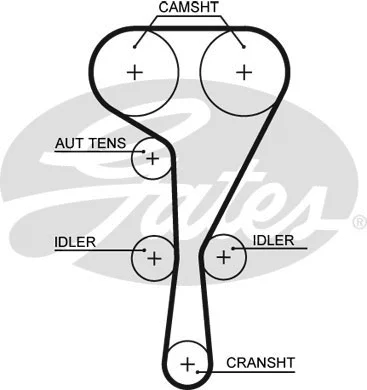Timing Belt (5551XS)