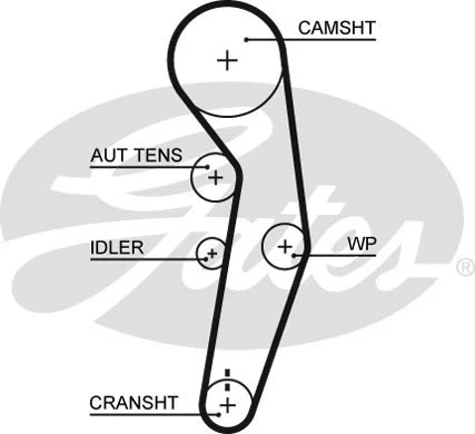 Timing Belt (5601XS)