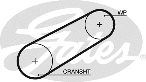 Timing Belt (5042)