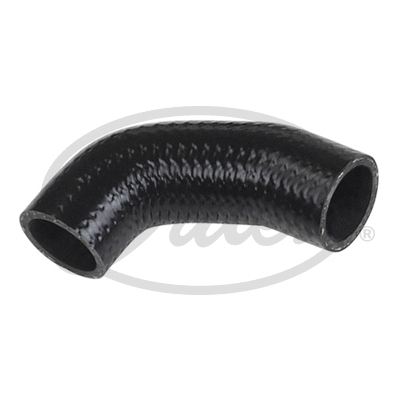 Radiator Hose (3175)