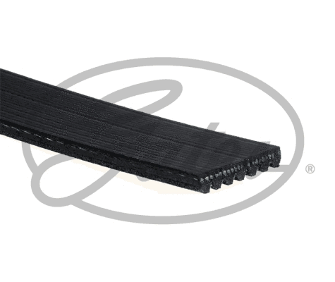 V-Ribbed Belt