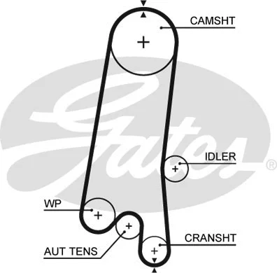 Timing Belt (5597XS)