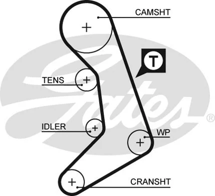 Timing Belt (5398XS)