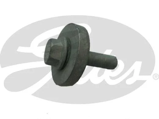 Bolt, crankshaft mounting bracket (Z80000)