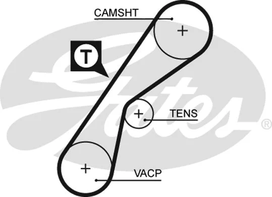 Timing Belt (5407XS)