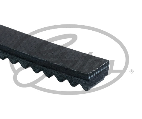 V-Belt