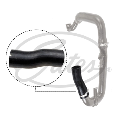 Charge Air Hose (09-0479)