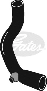 Radiator Hose (3884)
