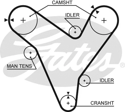 Timing Belt (5379XS)