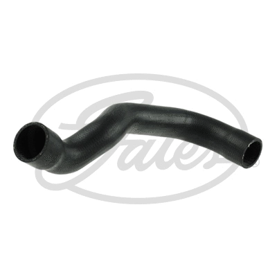 Radiator Hose (05-3499)