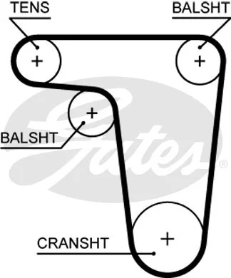 Timing Belt (5618XS)