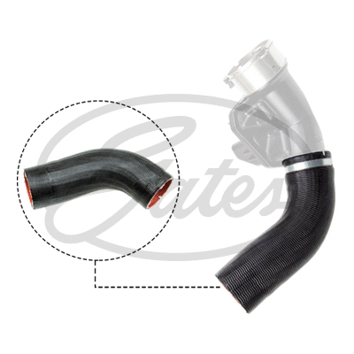 Charge Air Hose (09-1241)
