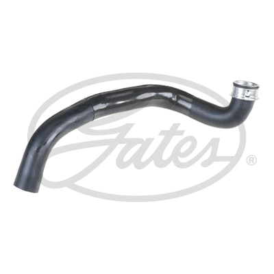 Radiator Hose (05-3359)