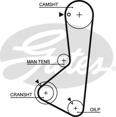 Timing Belt (5115)