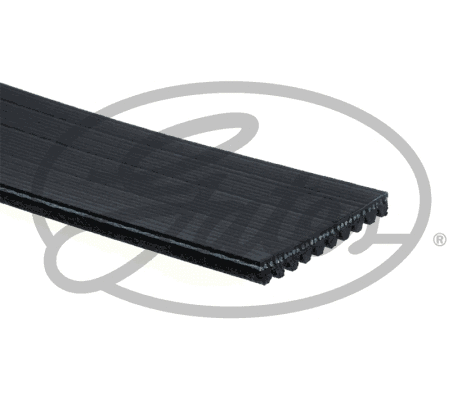 V-Ribbed Belt