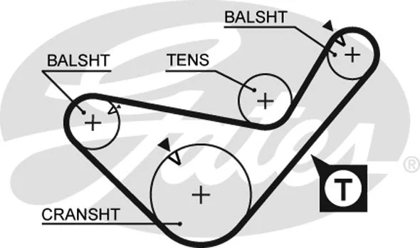 Timing Belt (5436XS)
