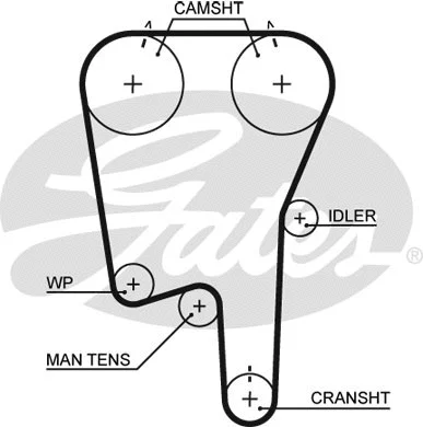 Timing Belt (5460XS)