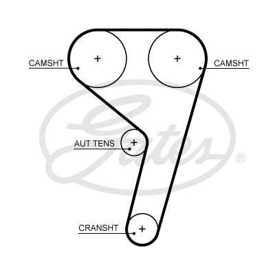 Timing Belt (T367HOB)