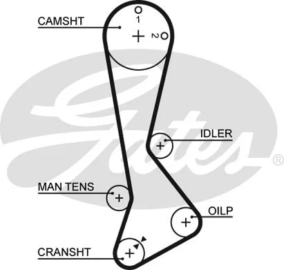 Timing Belt (5198XS)