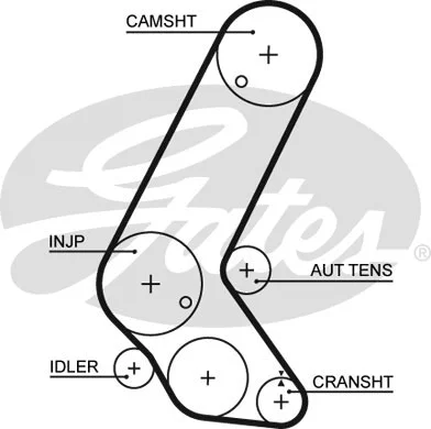 Timing Belt Kit (K015595XS)