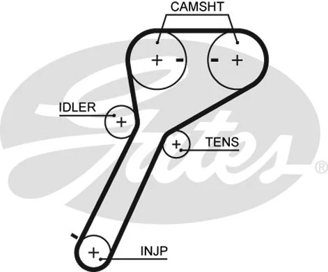Timing Belt Kit (K015651XS)