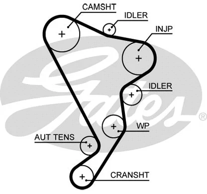 Timing Belt (5661XS)