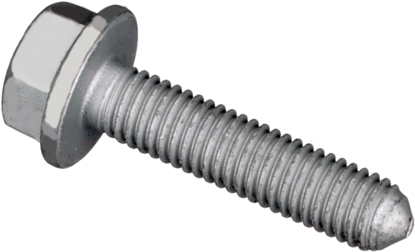 Bolt (Z80688)