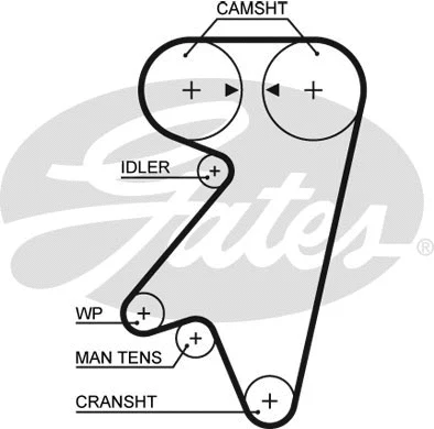 Timing Belt (5191)