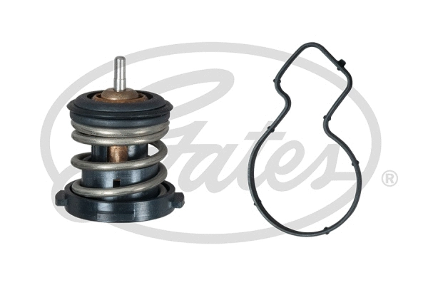Thermostat, coolant (TH59787G1)