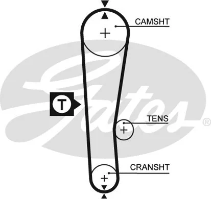 Timing Belt (5313XS)