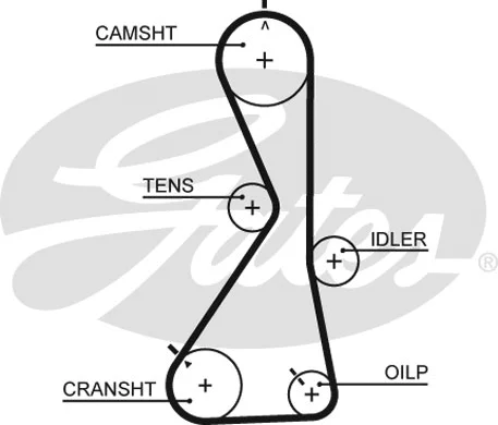Timing Belt (5481XS)