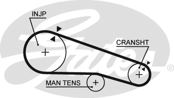 Timing Belt (5104)