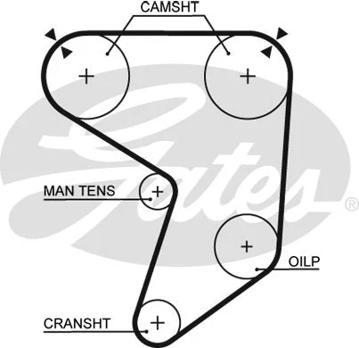 Timing Belt (5196)