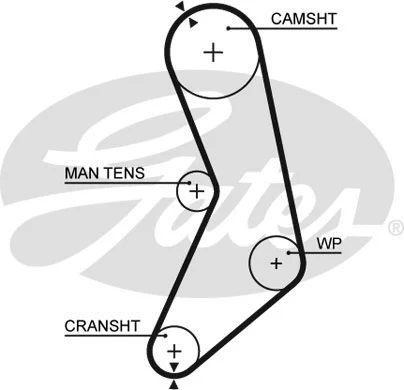 Timing Belt (5288)