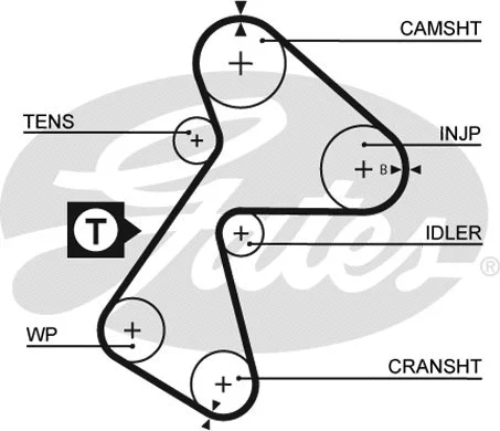 Timing Belt Kit (K015484XS)