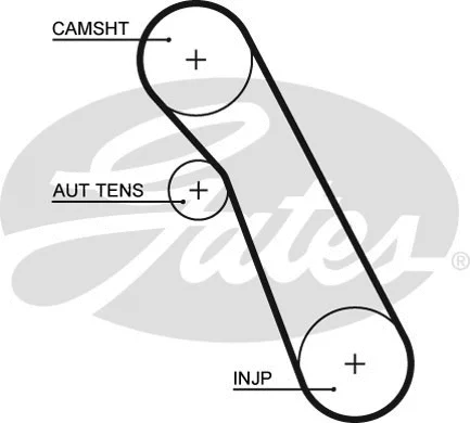 Timing Belt Kit (K015541XS)