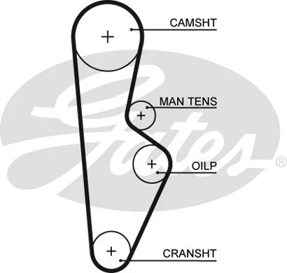 Timing Belt (5082XS)