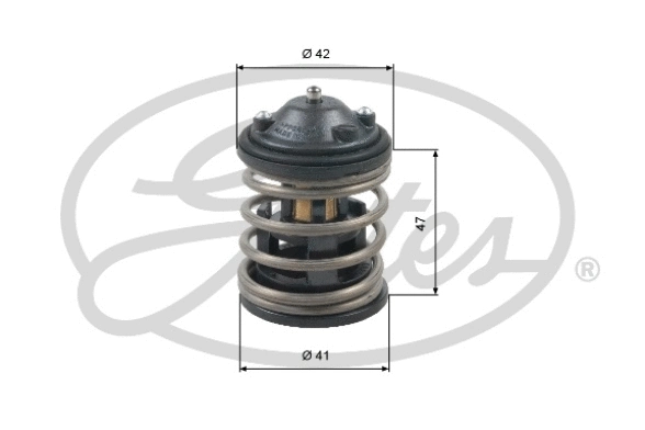 Thermostat, coolant (TH47487G1)
