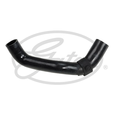 Radiator Hose (3812)