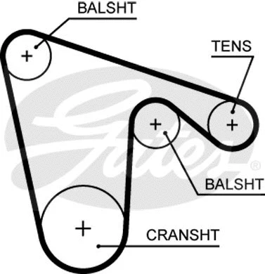 Timing Belt (5621XS)