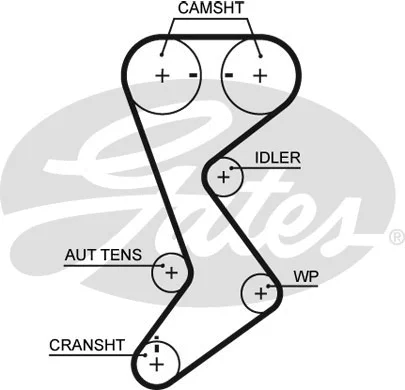 Timing Belt (T265)