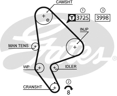 Timing Belt Kit (K015588XS)