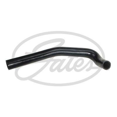 Radiator Hose (3299)