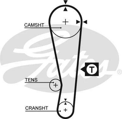 Timing Belt (5150XS)